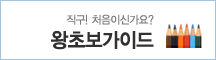 왕초보가이드